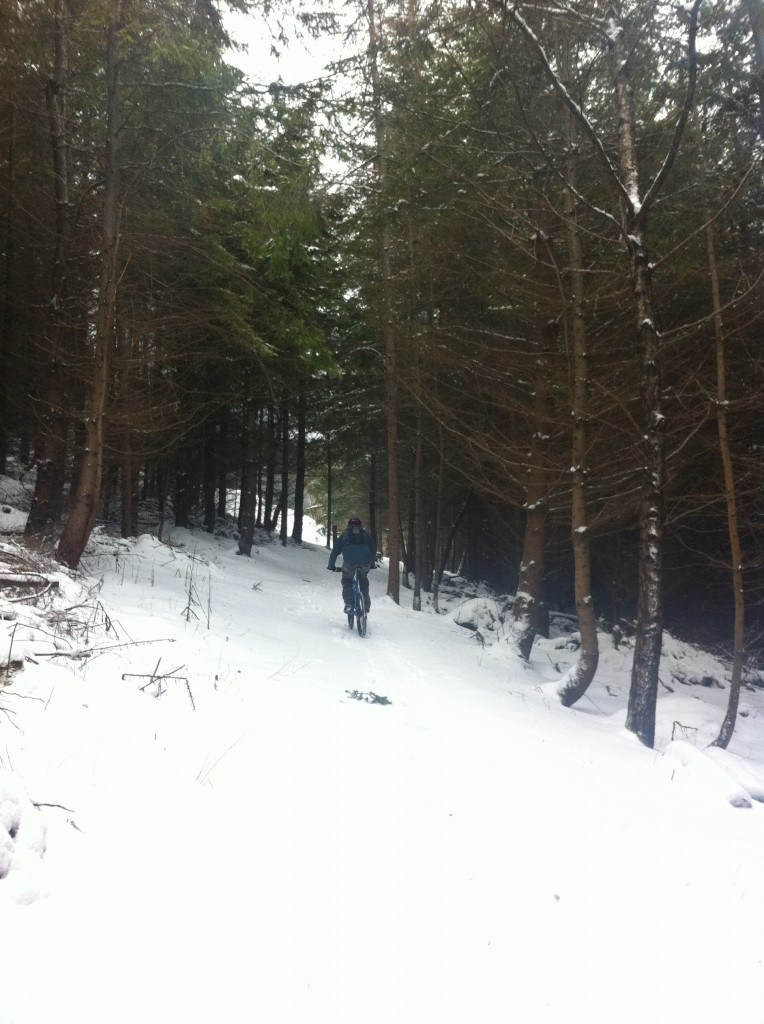 Dan climbs through the forest