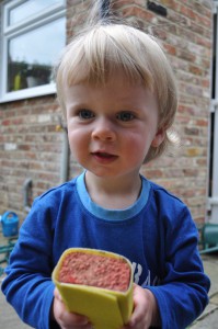 Sam helped with DIY at the weekend